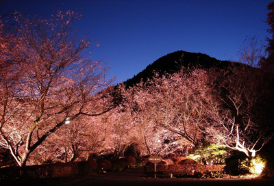 城峯公園